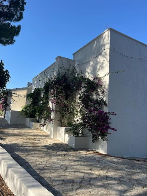 Villa Bouganville 2 Ostuni Exteriör bild