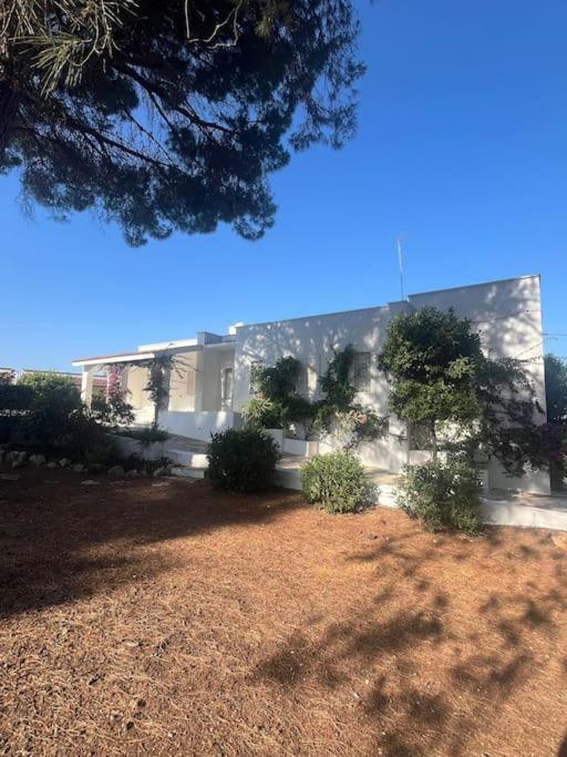 Villa Bouganville 2 Ostuni Exteriör bild