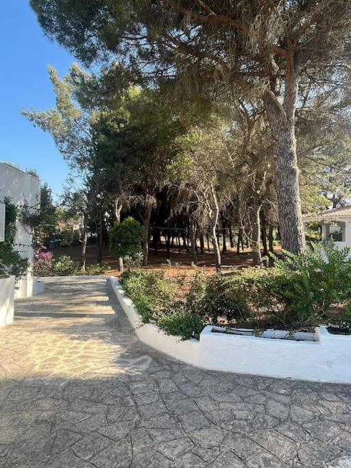Villa Bouganville 2 Ostuni Exteriör bild